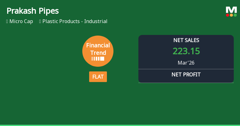 Prakash Pipes Ltd. Shows Signs of Stabilisation Amid Flat Quarterly Performance