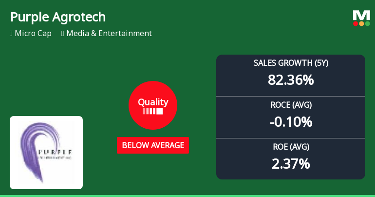 Purple Agrotech Industries Ltd Quality Grade Downgrade Highlights Fundamental Challenges