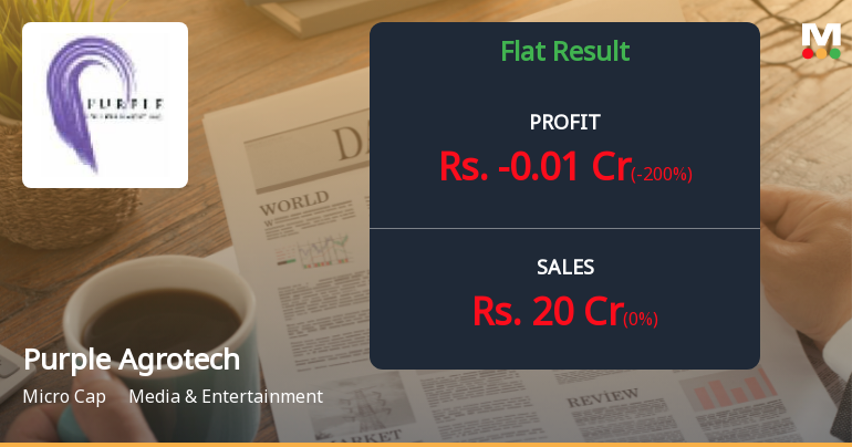 Purple Agrotech Industries Q4 FY26: Revenue Returns After Years, But Profitability Concerns Linger