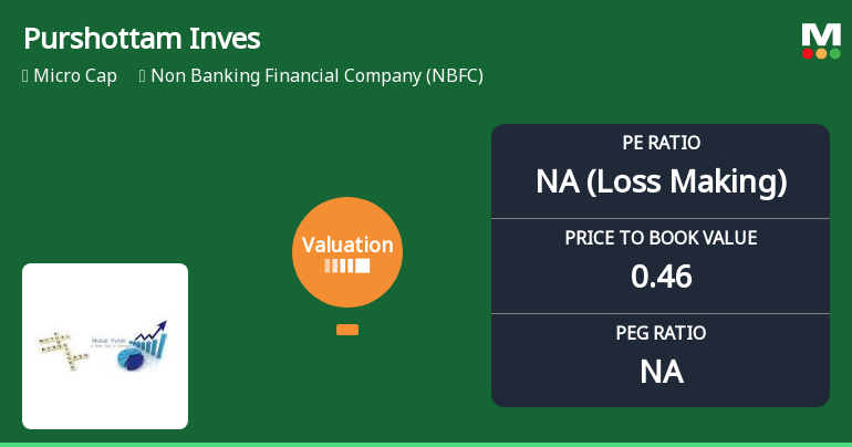 Purshottam Investofin Ltd Valuation Shifts Signal Elevated Risk Amid Market Volatility