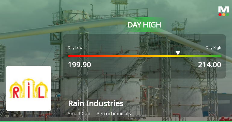 Rain Industries Ltd Surges 7.11% to Day's High of Rs 212.25 — Outperforms Sector by 3.24 Percentage Points