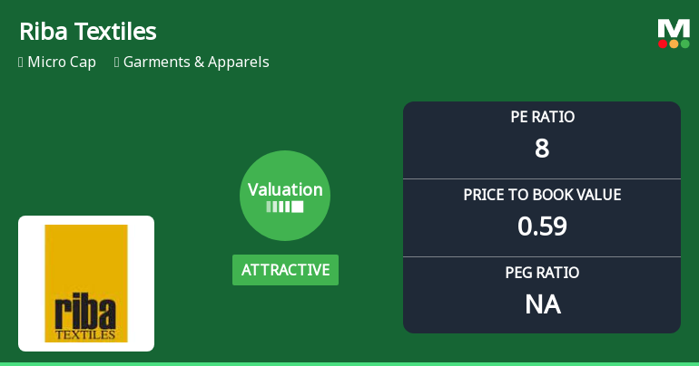 Riba Textiles Ltd Valuation Shifts Signal Attractive Entry Amid Mixed Returns