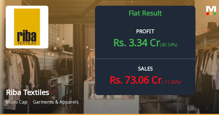Riba Textiles Q4 FY26: Profit Surge Masks Revenue Decline as Margins Improve
