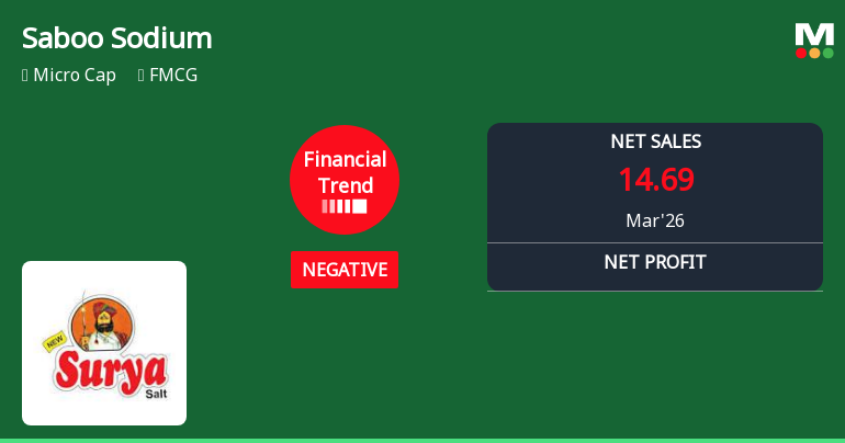 Saboo Sodium Chloro Ltd Reports Sharp Decline in Quarterly Financial Performance