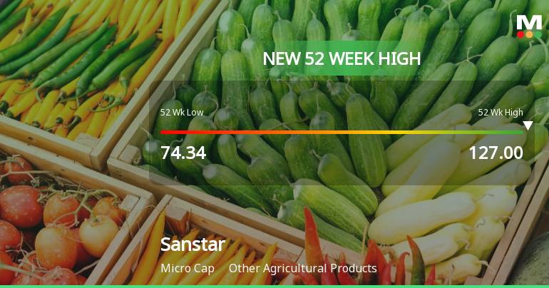 Broad-Based Technical Strength Lifts Sanstar Ltd to 52-Week High of Rs 127