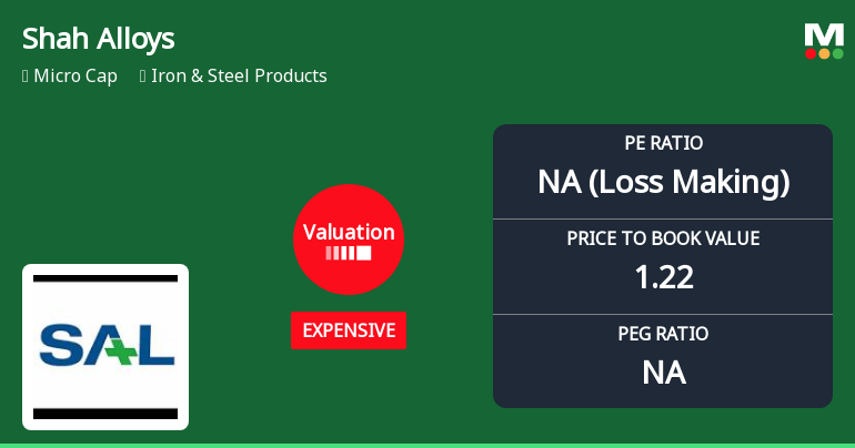 Shah Alloys Ltd Valuation Shifts Signal Expensive Terrain Amid Mixed Returns