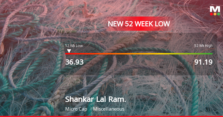 Five Consecutive Losses Push Shankar Lal Rampal Dye-Chem Ltd to a New 52-Week Low