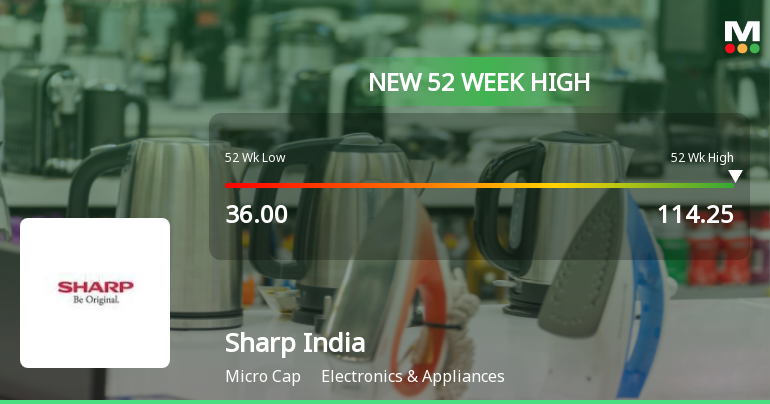 Broad-Based Technical Strength Lifts Sharp India Ltd to 52-Week High of Rs 114.25