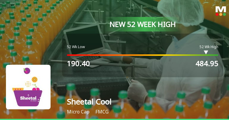 Broad-Based Technical Strength Lifts Sheetal Cool Products Ltd to 52-Week High of Rs 484.95