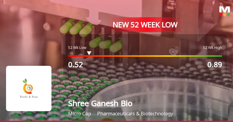 Shree Ganesh Biotech India Ltd Falls to 52-Week Low of Rs 0.52 as Sell-Off Deepens