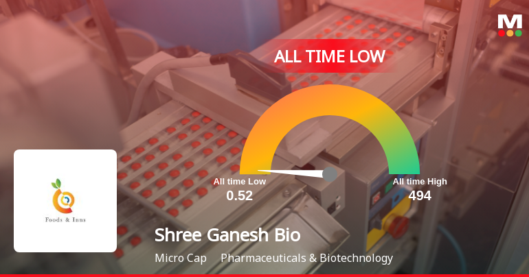 Markets Rise, But Shree Ganesh Biotech India Ltd Slides to All-Time Low Amid Stock-Specific Sell-Off
