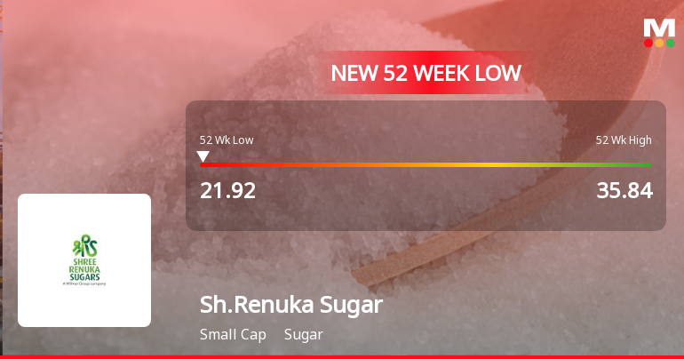 Shree Renuka Sugars Ltd Falls to 52-Week Low of Rs 21.84 as Sell-Off Deepens