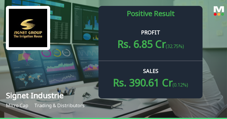 Signet Industries Q4 FY26: Profit Surge Masks Margin Erosion Concerns