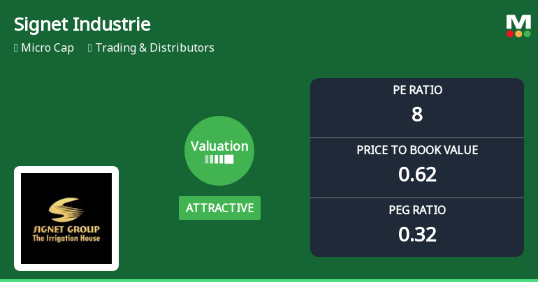 Signet Industries Ltd Valuation Shifts Signal Renewed Price Attractiveness