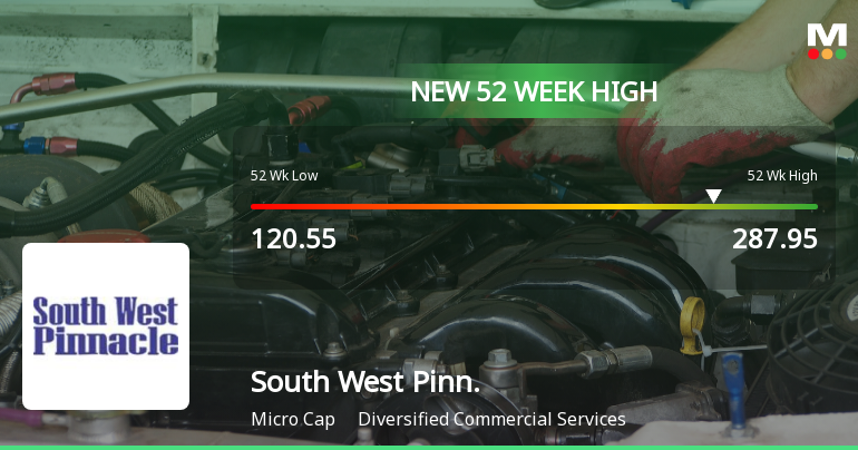 Broad-Based Technical Strength Lifts South West Pinnacle Exploration Ltd to 52-Week High of Rs 274.5