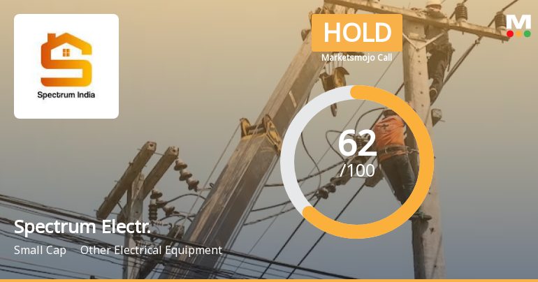 Spectrum Electrical Industries Ltd is Rated Hold