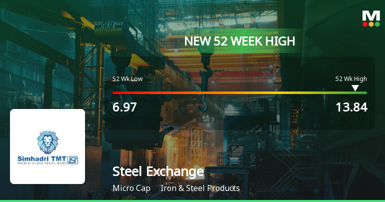 Broad-Based Technical Strength Lifts Steel Exchange India Ltd to 52-Week High of Rs 13.84