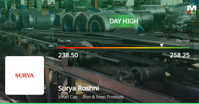 Surya Roshni Ltd Surges 7.55% to Day's High of Rs 249.7 — Outperforms Sector by 5.74 Percentage Points