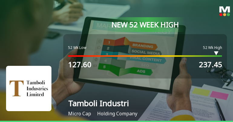 Broad-Based Technical Strength Lifts Tamboli Industries Ltd to 52-Week High of Rs 237.45