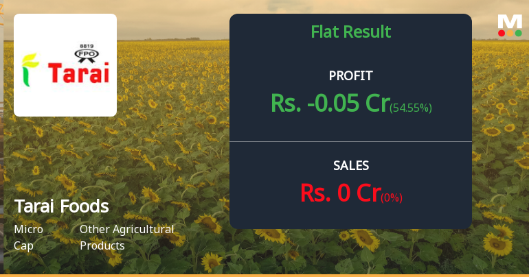Tarai Foods Q4 FY26: Operations Remain Shuttered as Losses Mount