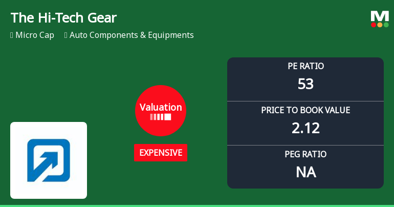 The Hi-Tech Gears Ltd Valuation Shifts to Expensive Amid Mixed Returns