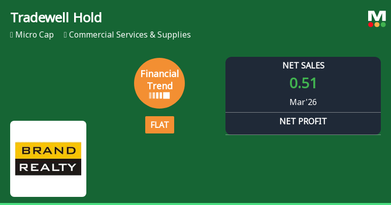 Tradewell Holdings Ltd Reports Flat Quarterly Financial Trend Amid Market Challenges