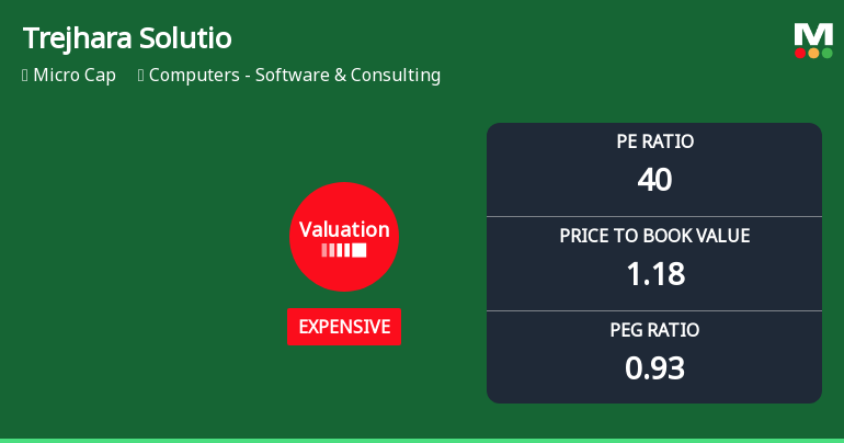 Trejhara Solutions Ltd Valuation Shifts Signal Growing Price Caution