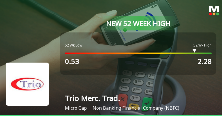 Broad-Based Technical Strength Lifts Trio Mercantile & Trading Ltd to 52-Week High of Rs 2.28