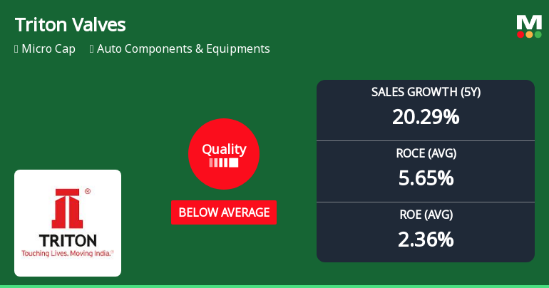 Triton Valves Ltd Quality Grade Downgrade: A Detailed Analysis of Business Fundamentals