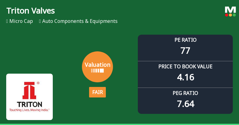 Triton Valves Ltd Valuation Shifts Signal Renewed Price Attractiveness