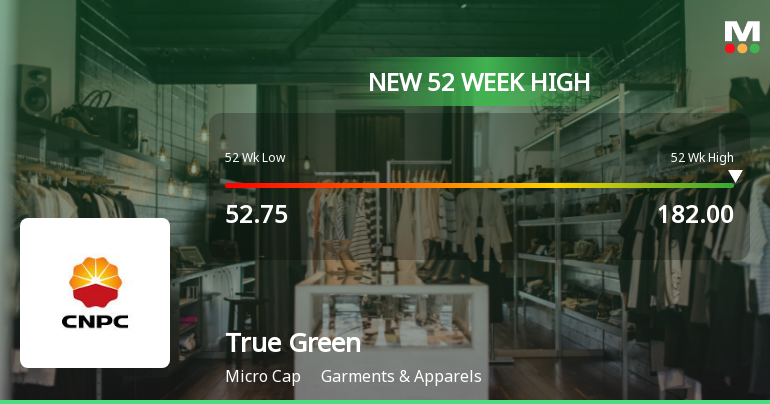 Broad-Based Technical Strength Lifts True Green Bio Energy Ltd to 52-Week High of Rs 182