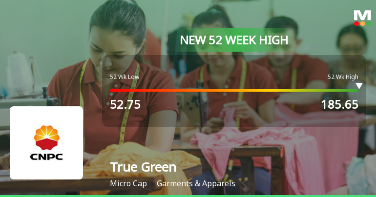 Broad-Based Technical Strength Lifts True Green Bio Energy Ltd to 52-Week High of Rs 185.65