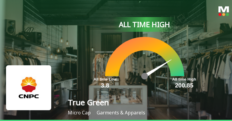 Strong Momentum Meets Stretched Valuations as True Green Bio Energy Ltd Reaches All-Time High