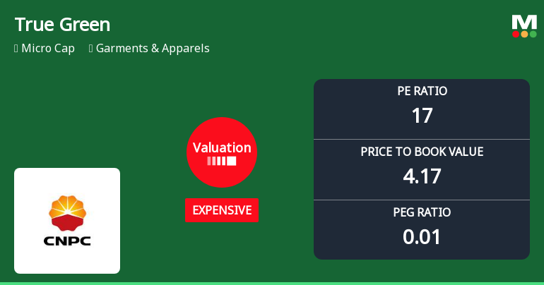 True Green Bio Energy Ltd Valuation Shifts Signal Renewed Price Attractiveness
