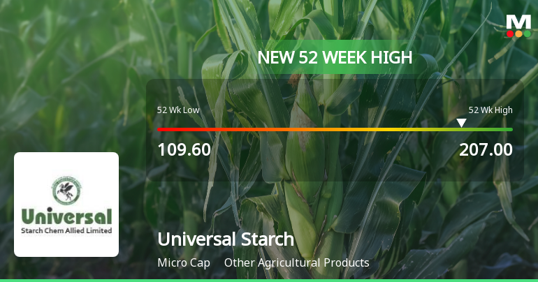 Broad-Based Technical Strength Lifts Universal Starch Chem Allied Ltd to 52-Week High of Rs 207