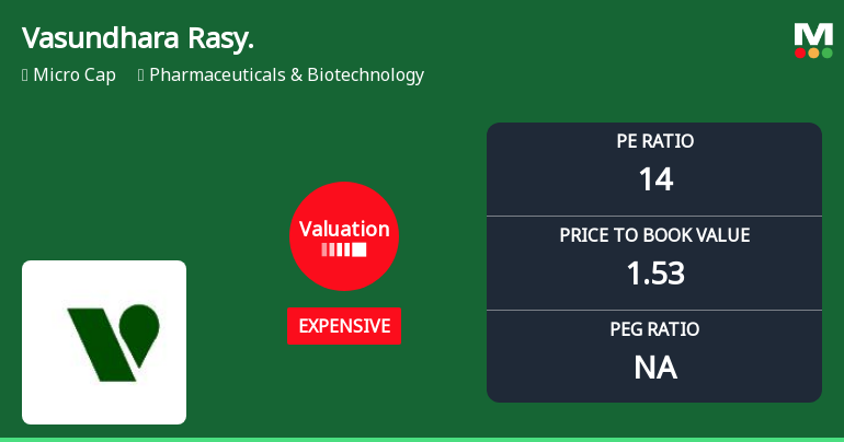 Vasundhara Rasayans Ltd Valuation Shifts Signal Price Attractiveness Change