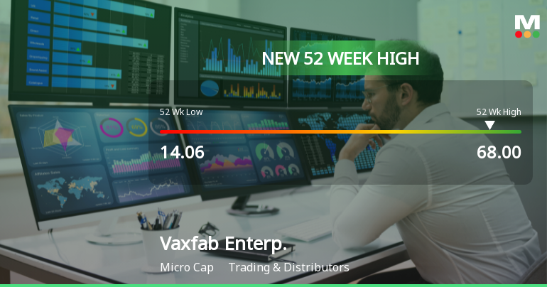 Broad-Based Technical Strength Lifts Vaxfab Enterprises Ltd to 52-Week High of Rs 68