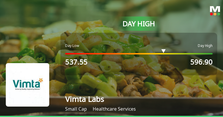 Vimta Labs Ltd Surges 7.03% to Day's High of Rs 587 — Outperforms Healthcare Sector by 7.41 Percentage Points