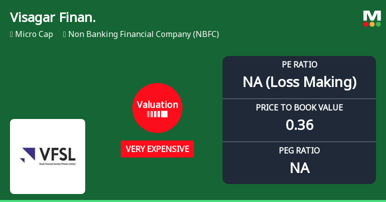 Visagar Financial Services Ltd Valuation Shifts Signal Heightened Price Risk