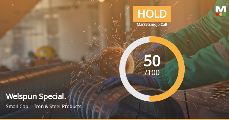 Welspun Specialty Solutions Ltd is Rated Hold