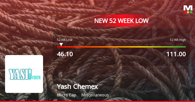 Markets Rally, But Yash Chemex Ltd Sinks to 52-Week Low in Stock-Specific Sell-Off