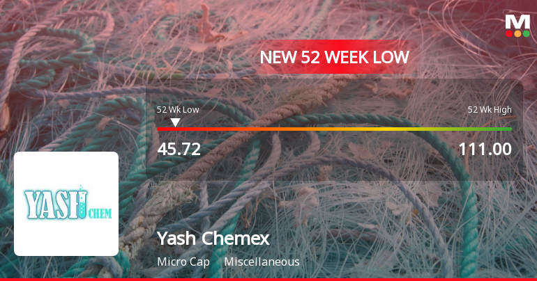 Markets Rally, But Yash Chemex Ltd Sinks to 52-Week Low in Stock-Specific Sell-Off
