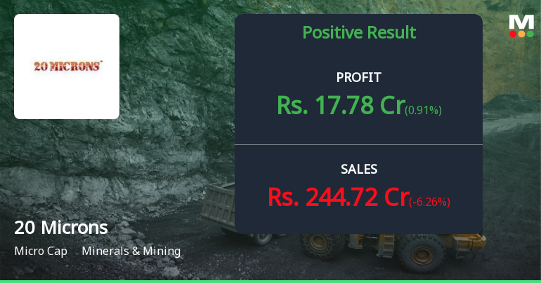 20 Microns Q1 FY27: Steady Profitability Amid Revenue Pressures