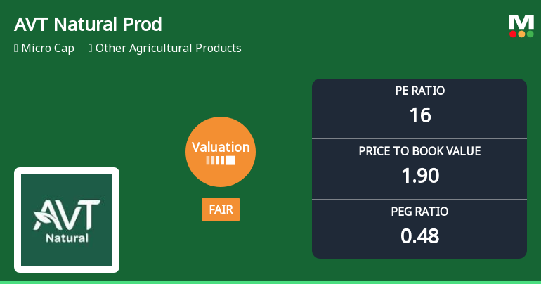 AVT Natural Products Ltd Valuation Shifts to Fair Amidst Peer Comparison