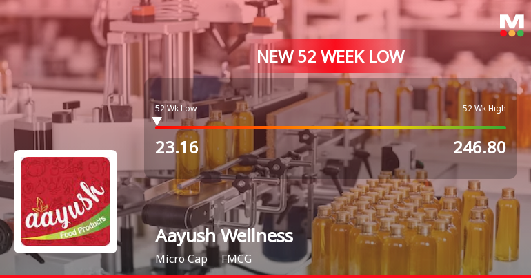 Aayush Wellness Ltd Falls to 52-Week Low of Rs 23.16 as Sell-Off Deepens