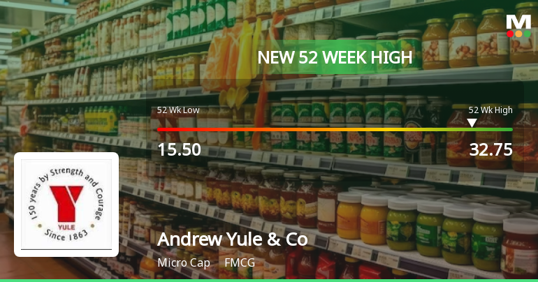 Broad-Based Technical Strength Lifts Andrew Yule & Company Ltd to 52-Week High of Rs 32.75