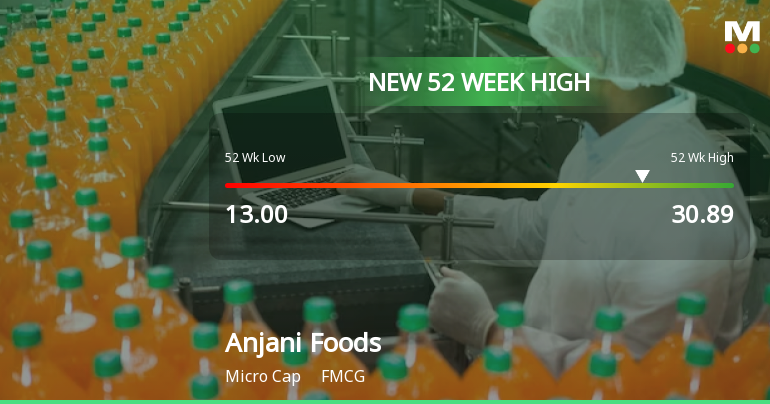 Broad-Based Technical Strength Lifts Anjani Foods Ltd to 52-Week High of Rs 30.89