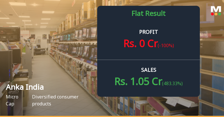 Anka India Q1 FY27: Micro-Cap IT Firm Struggles with 53% Revenue Decline Despite Marginal Profitability