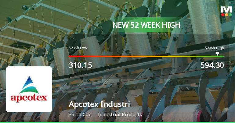 Broad-Based Technical Strength Lifts Apcotex Industries Ltd to 52-Week High of Rs 594.3