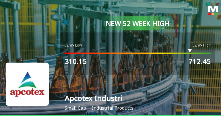 Broad-Based Technical Strength Lifts Apcotex Industries Ltd to 52-Week High of Rs 712.45